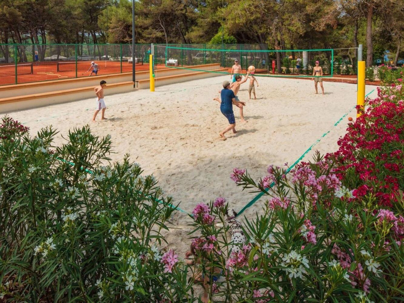 Valamar Lanterna - Roan Campingplatz *